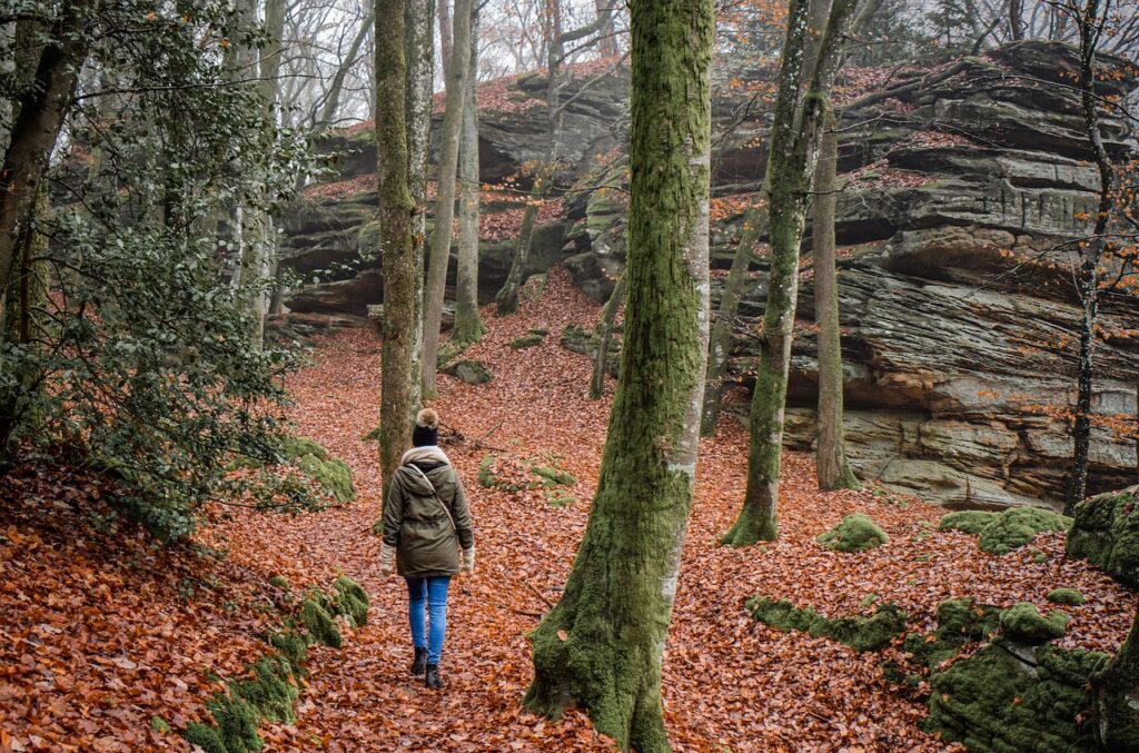 Sisli bir orman patikasında ilerleyen trekking ekibi