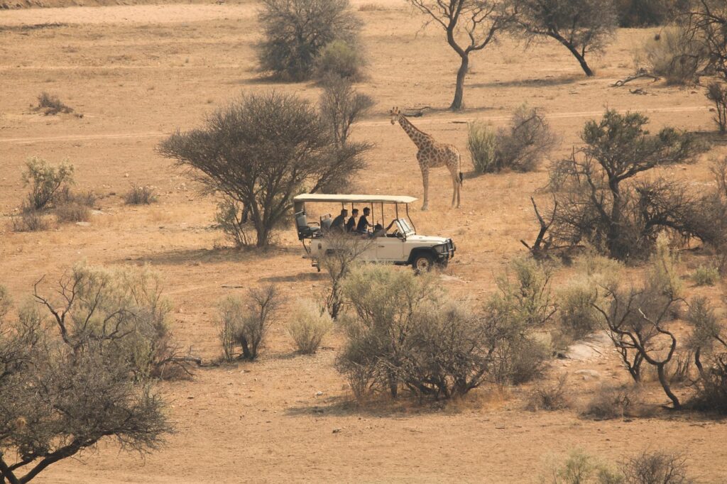 Afrika safarisinde dürbünle kuş izleyen bir gezgin