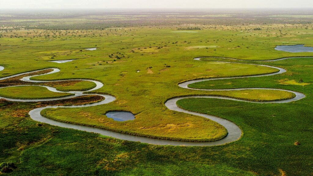 Okavango Deltası'nda su üzerinde yapılan tekne safarisi