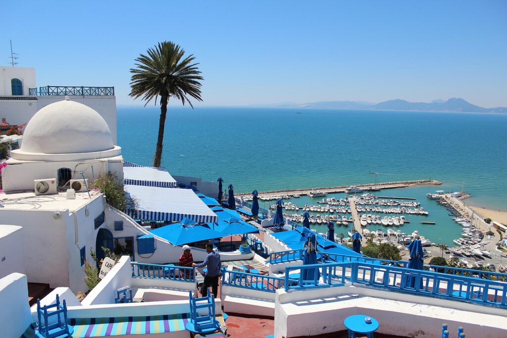 Sidi Bou Said'in beyaz duvarları ve mavi kapıları