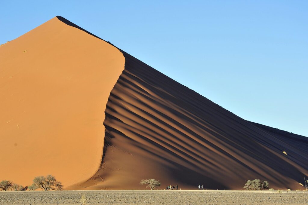 Şafakta Namib Çölü kum tepeleri