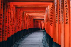 Kyoto'daki Fushimi Inari Tapınağı'nın kırmızı torii kapılarının uzaktan görünümü, Asya gezi rehberi kapak görseli
