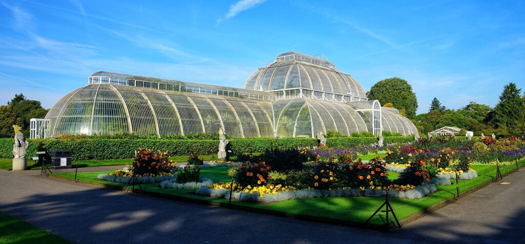 Kew Bahçeleri'ndeki Palmiye Evi'nin cam yapısı ve içindeki tropikal bitkiler