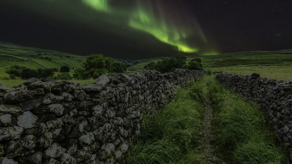 İngiltere'de Yorkshire Heykel Parkı'nda geniş çimenlik ve açık hava eserleri