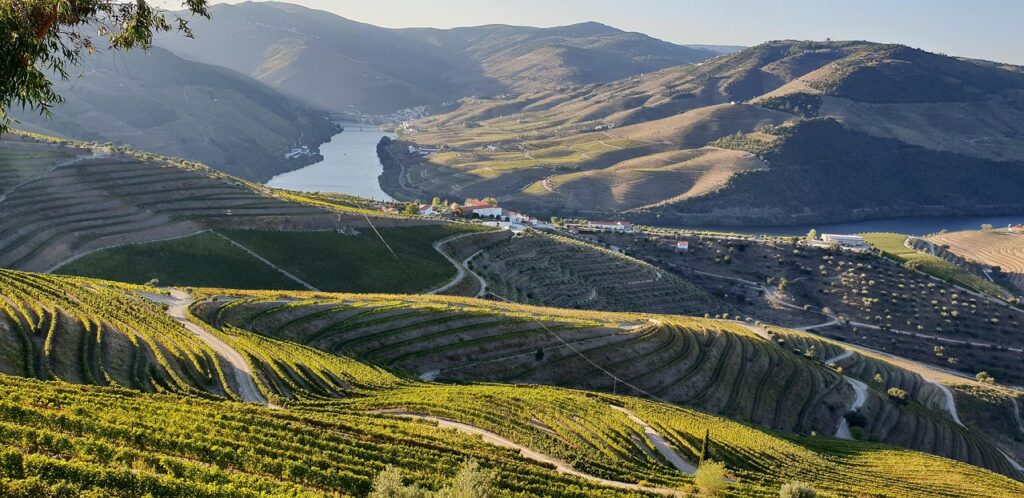 Douro Vadisi'nde teraslı bağlar ve nehir kenarındaki köyler