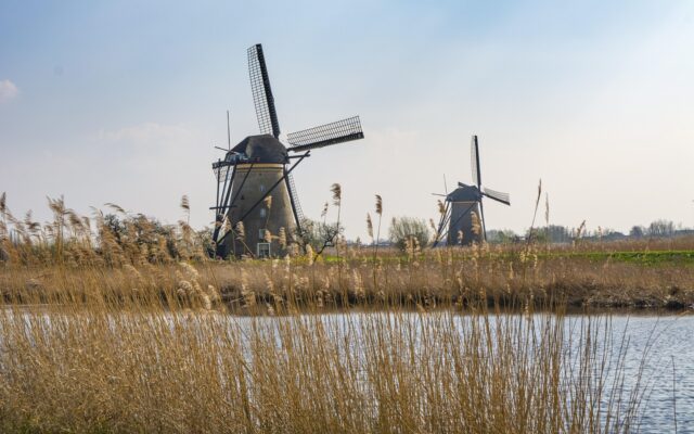 Hollanda'da kanal kenarında sıralanan tarihi rüzgar değirmenleri