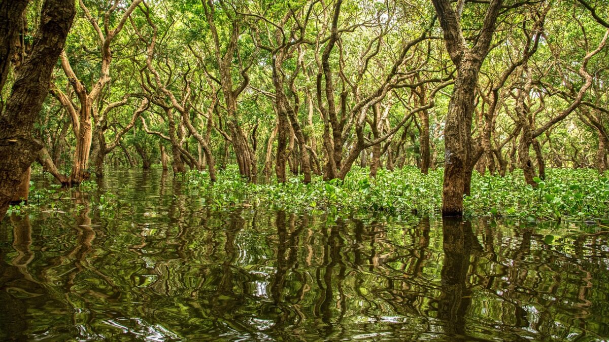 Brunei'de su üzerine kurulmuş Kampong Ayer köyü ve nehir manzarası