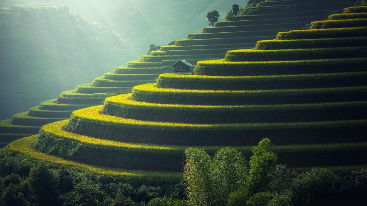 Bali ve Phuket karşılaştırması için palmiyeli tropikal sahil ve tekne manzarası