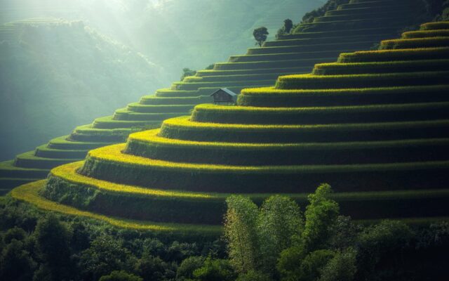 Bali ve Phuket karşılaştırması için palmiyeli tropikal sahil ve tekne manzarası
