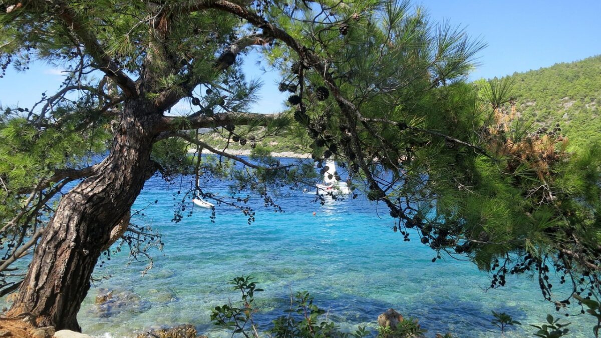 Ege kıyısında Bodrum ile Çeşme’yi karşılaştıran sahil oteli ve turkuaz deniz manzarası
