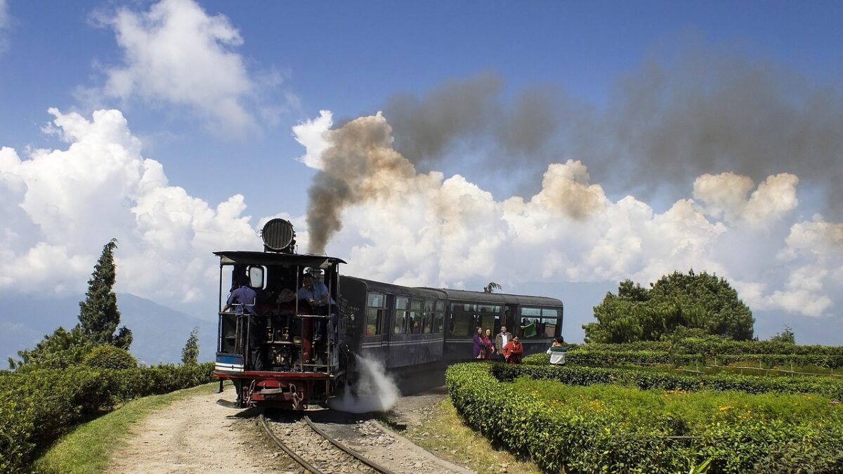 Darjeeling'de sis içinde ilerleyen oyuncak tren ve arkasında Himalaya çay bahçeleri