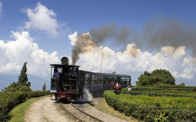 Darjeeling'de sis içinde ilerleyen oyuncak tren ve arkasında Himalaya çay bahçeleri