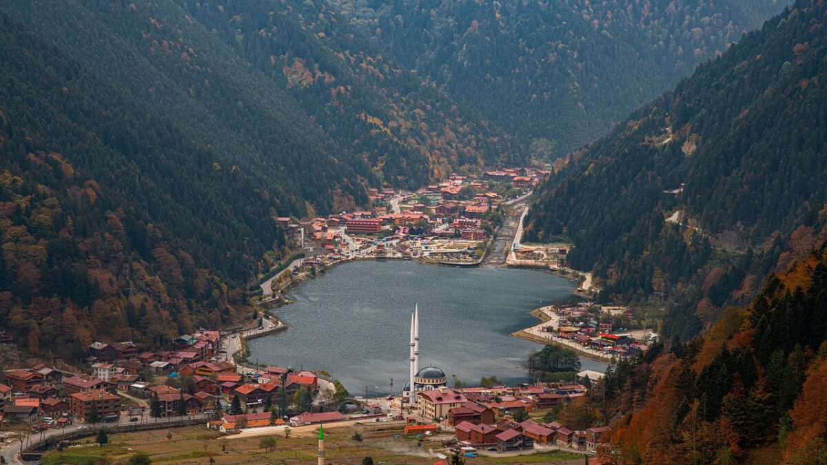 Doğu Karadeniz yaylasında sis bulutları arasında yükselen dağlar ve yeşil çamlıklar