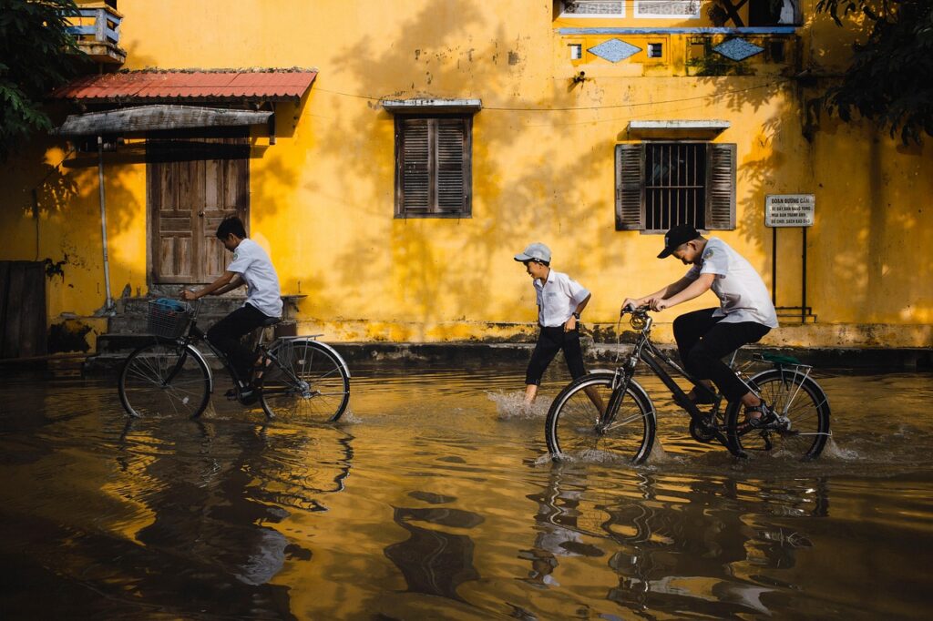 Vietnam'da Hoi An çevresindeki pirinç tarlaları ve bisiklet