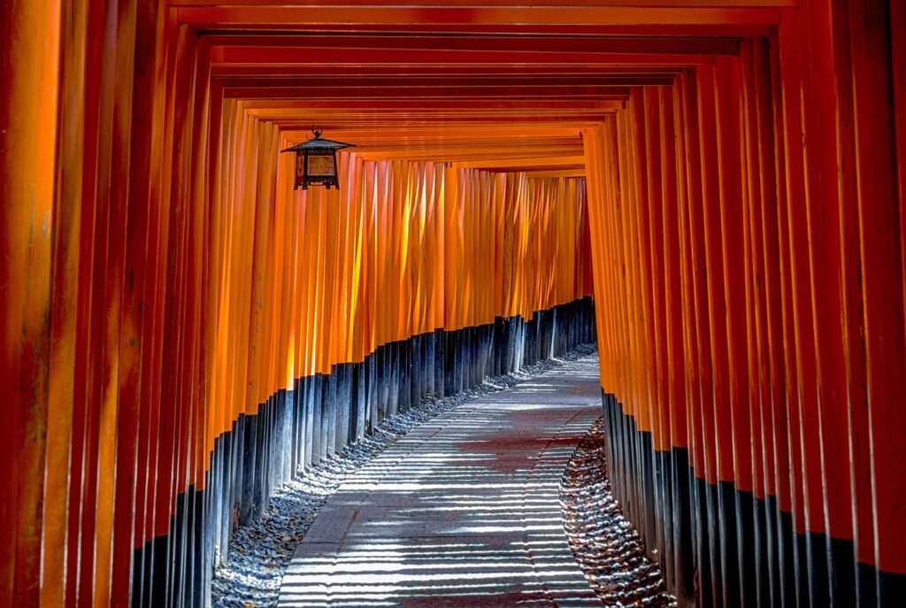 Kyoto'daki Fushimi Inari'de dağ yamacına uzanan kırmızı torii kapıları