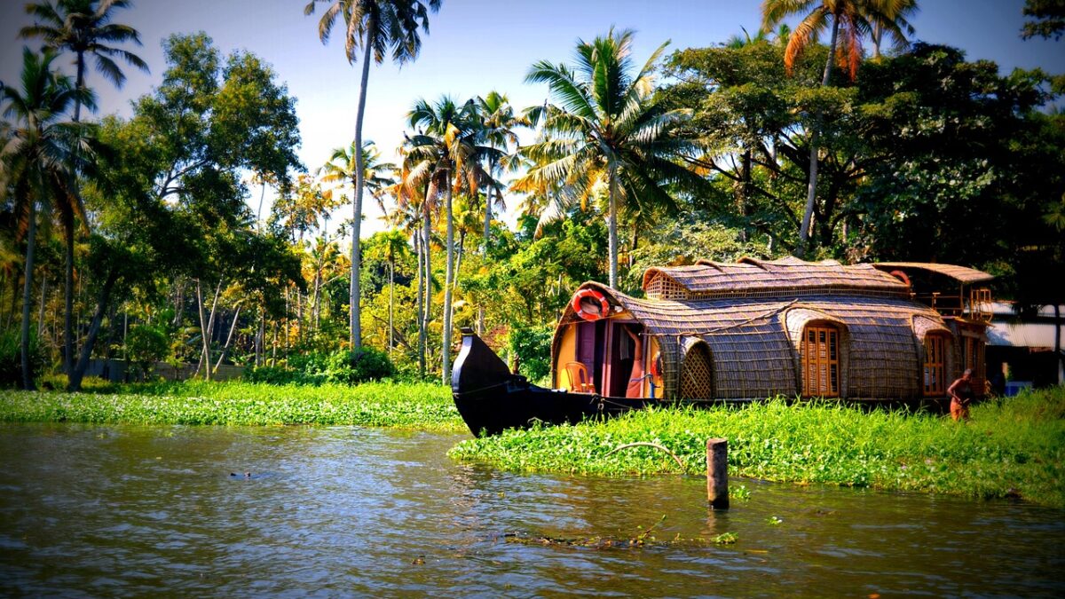 Kerala geri su kanalında ilerleyen geleneksel bir houseboat ve yeşil kıyı manzarası