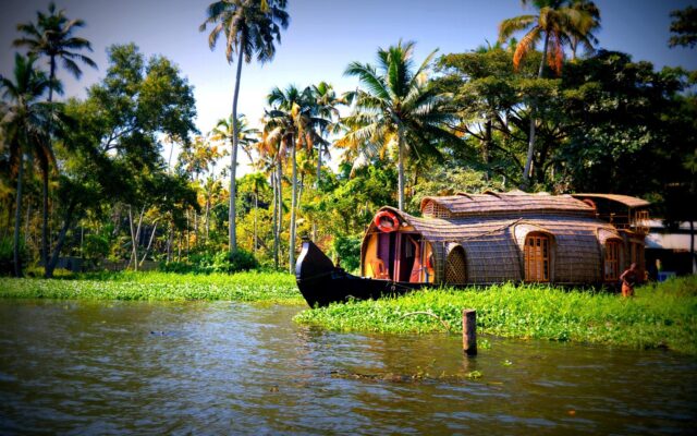 Kerala geri su kanalında ilerleyen geleneksel bir houseboat ve yeşil kıyı manzarası
