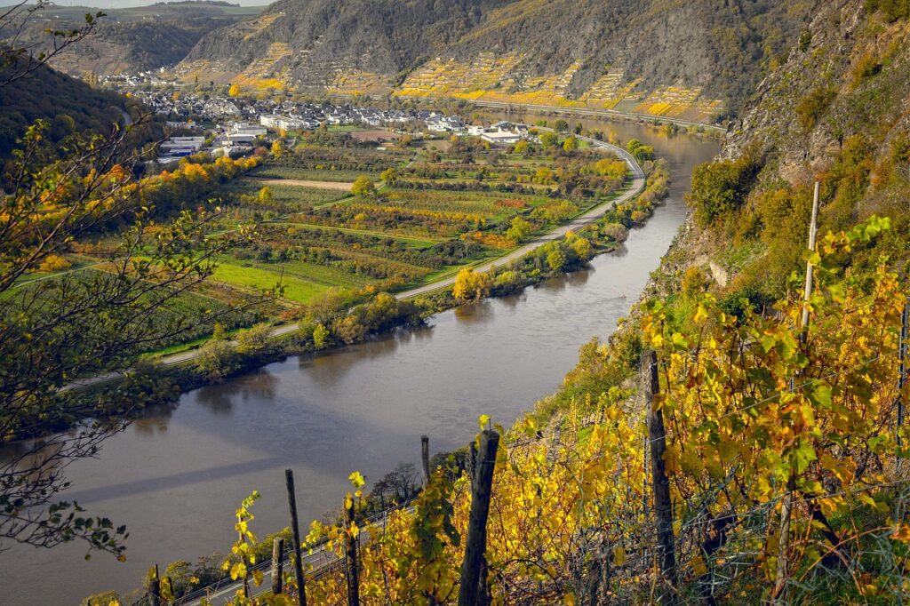 Almanya'da Mosel Vadisi'nde nehir kenarındaki sonbahar bağları