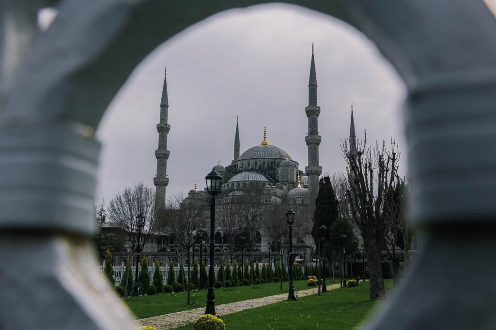 Sultansazlığı sulak alanında su kuşları