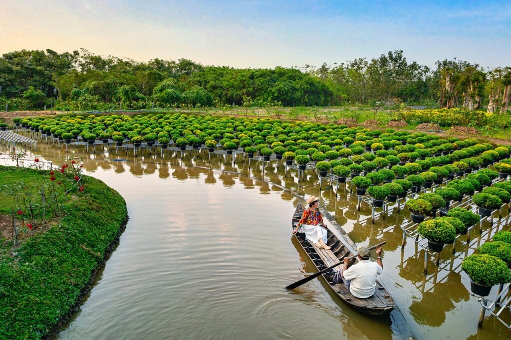 Mekong Deltası'nda kanal kenarındaki yeşil pirinç tarlaları