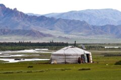 Moğolistan'da geniş step manzarası ve geleneksel yurt