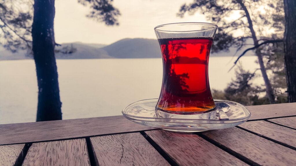 Dağlık ormanda kamp hazırlığı yapan kamperler