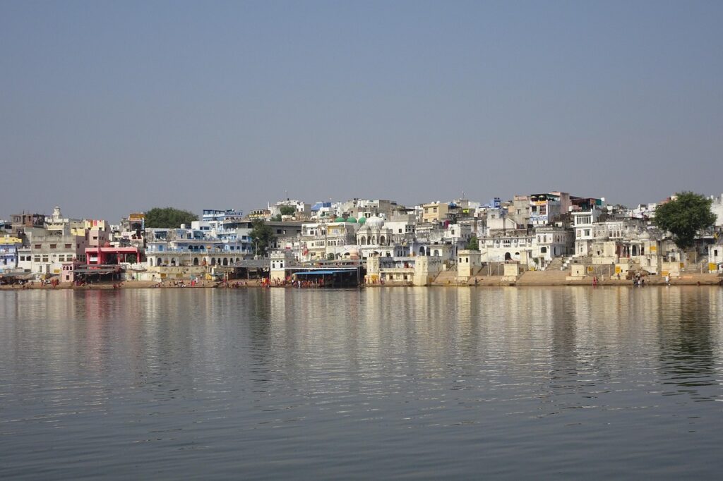 Rajasthan'da düzenlenen bir deve fuarında develer ve kalabalık