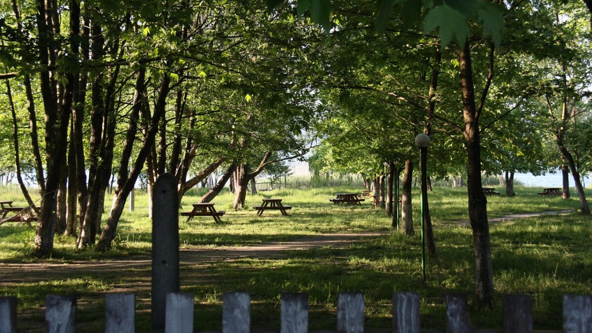 Sonbahar sabahında Sapanca Gölü kıyısında park etmiş bir karavan