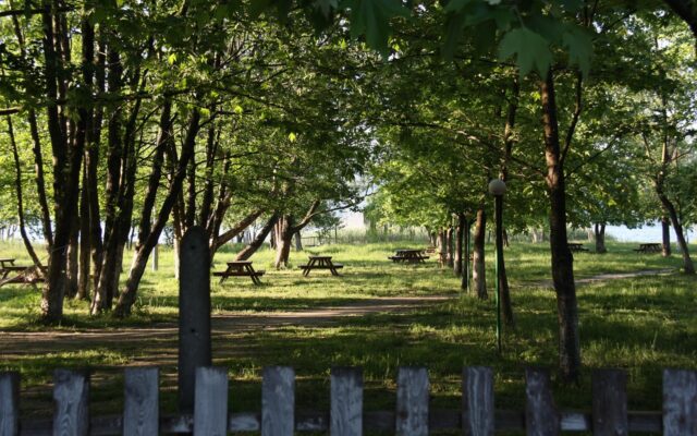 Sonbahar sabahında Sapanca Gölü kıyısında park etmiş bir karavan
