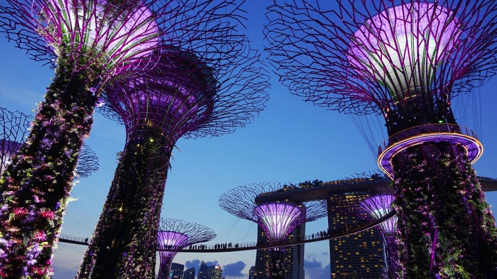 Gardens by the Bay'de gece ışıklandırılmış süper ağaçlar