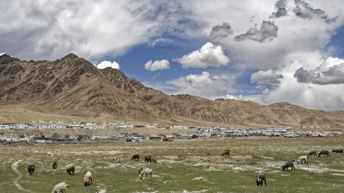 Tacikistan'da Pamir Dağları arasında uzanan karayolu ve karlı zirveler