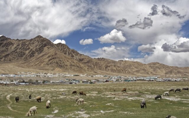 Tacikistan'da Pamir Dağları arasında uzanan karayolu ve karlı zirveler