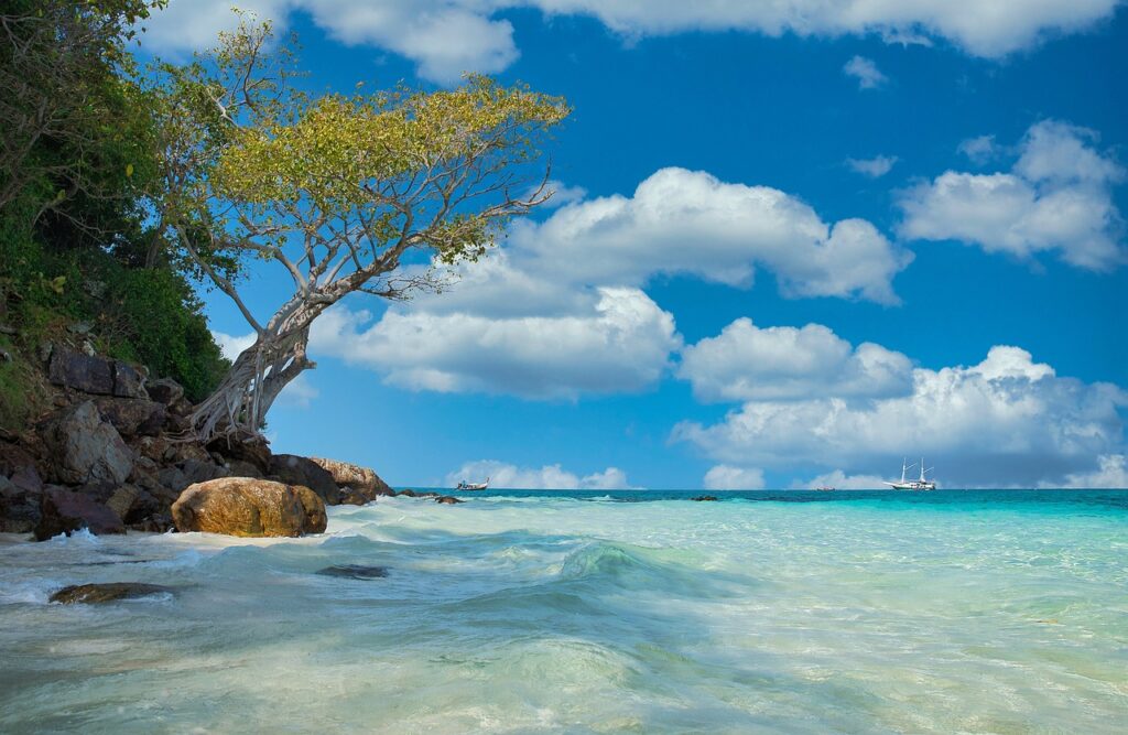 Tayland adalarında snorkeling yapan bir gezgin