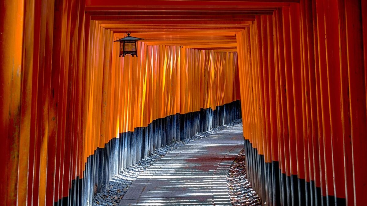 Kyoto'daki Fushimi Inari Tapınağı'nda sıralanan kırmızı torii kapıları