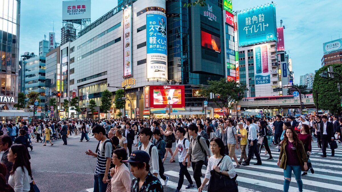 Tokyo ve Seul şehir manzaralarını karşılaştıran gezi rehberi kapak görseli
