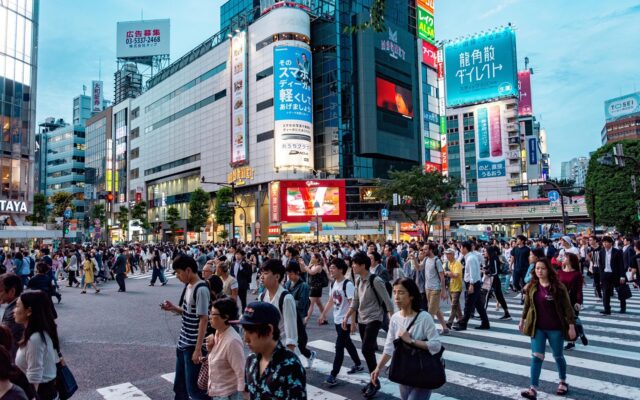 Tokyo ve Seul şehir manzaralarını karşılaştıran gezi rehberi kapak görseli