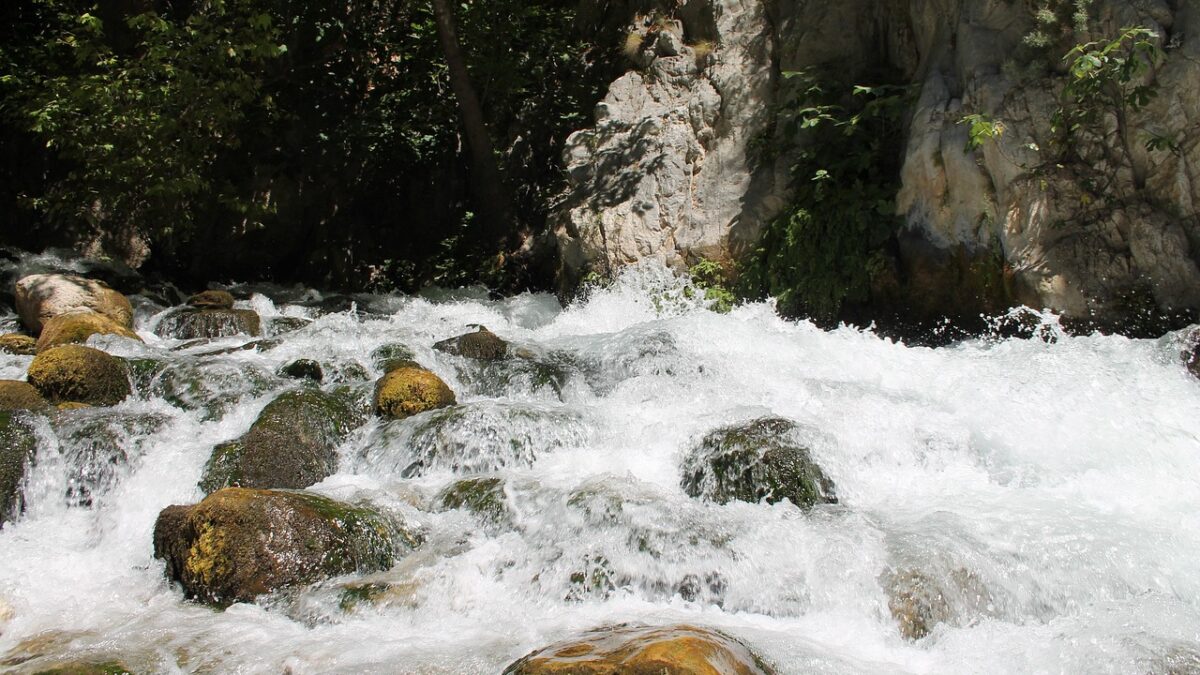 Türkiye'de dik kaya duvarları arasında akan berrak dereyle bir kanyon manzarası
