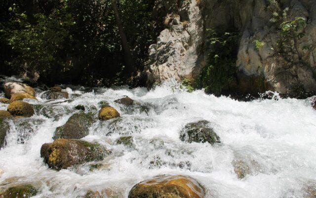 Türkiye'de dik kaya duvarları arasında akan berrak dereyle bir kanyon manzarası