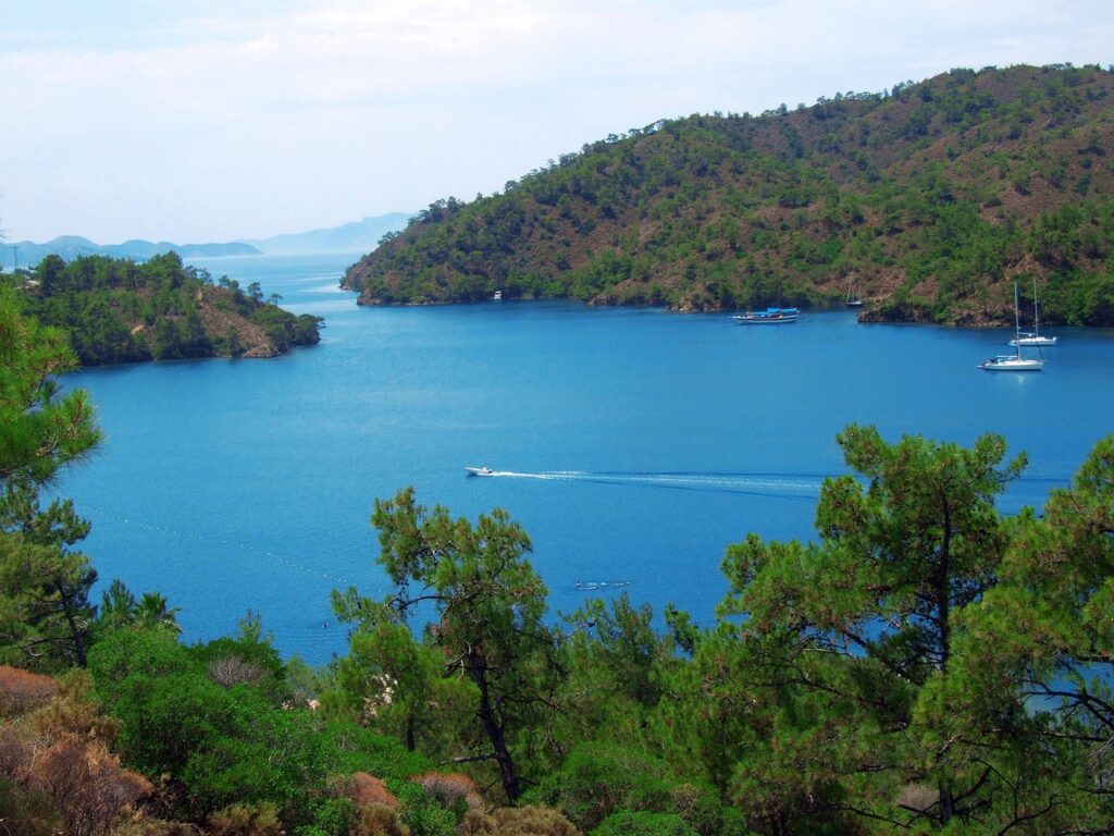 Akdeniz kıyısında deniz ile çamlığın buluştuğu bir orman manzarası