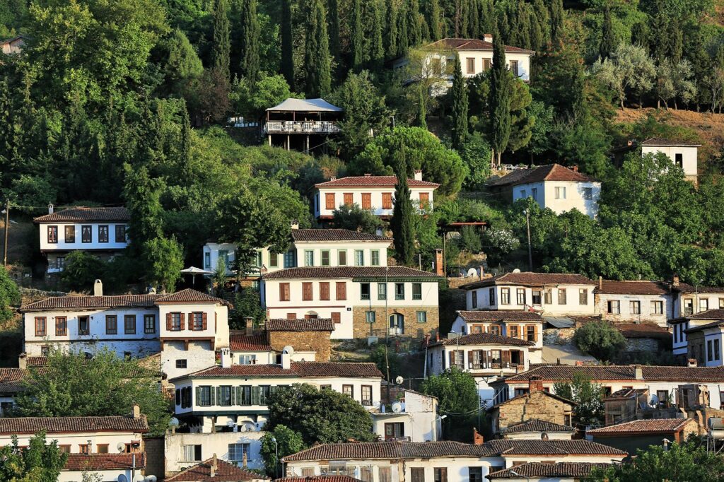 İzmir Şirince köyünde taş evler ve bağ manzarası