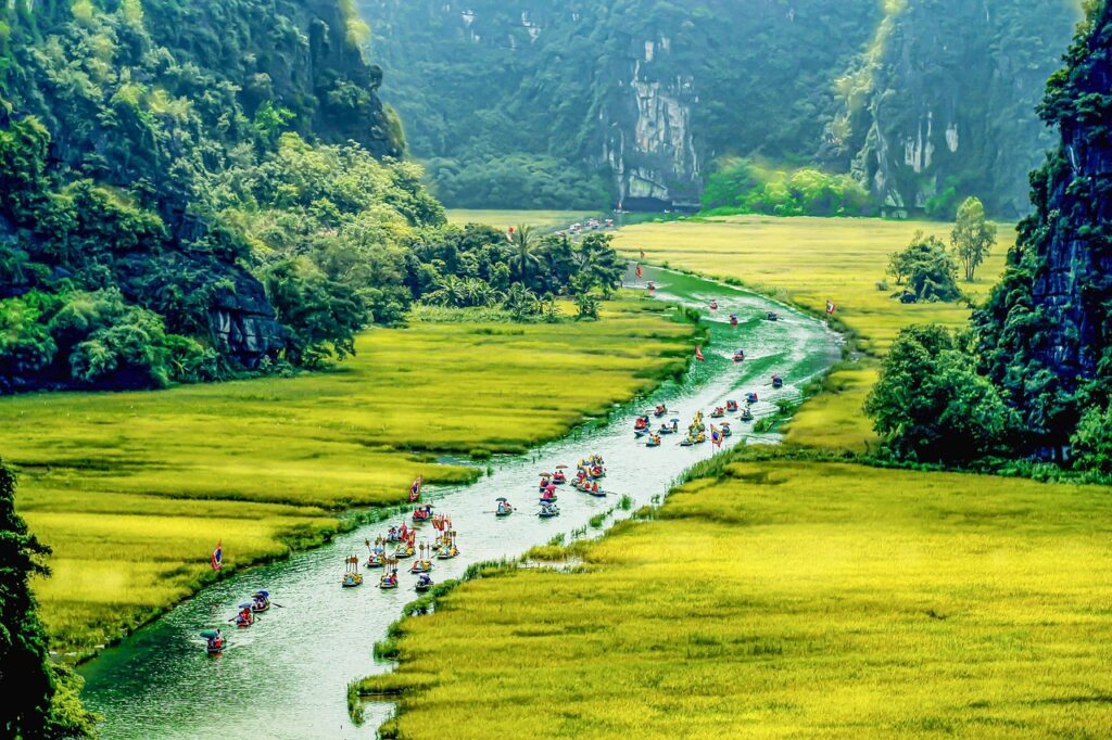 Ninh Binh'de pirinç tarlaları arasında sandalla kanal turu yapan gezginler