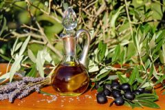 Ege kıyısında zeytin ağaçlarının arasında uzanan bir zeytinlik manzarası