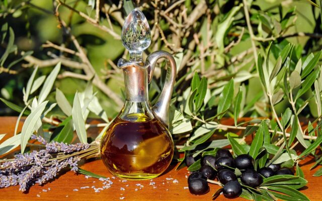 Ege kıyısında zeytin ağaçlarının arasında uzanan bir zeytinlik manzarası
